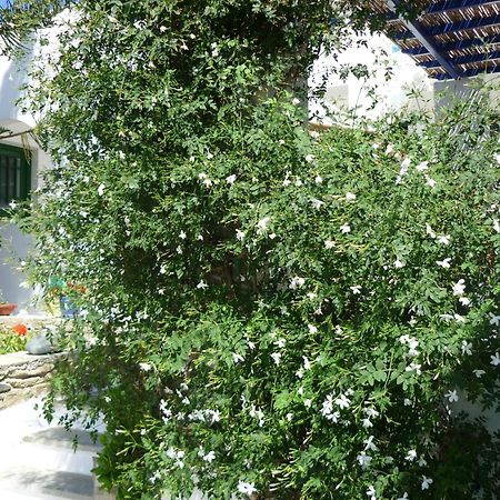 Porto Vlastos Agios Ioannis  Ngoại thất bức ảnh